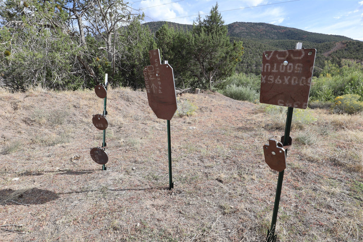 Surface Rust gongs, plates and IPSC targets hanging on T-posts at an outdoor range