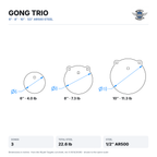 Dimensioned drawing: Gong Trio, 6, 8 and 10-inch gongs shown to the same scale, 22.6 lb total, 1/2-inch AR500 steel