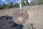 10-inch Surface Rust AR500 gong on a T-post hanger at the range