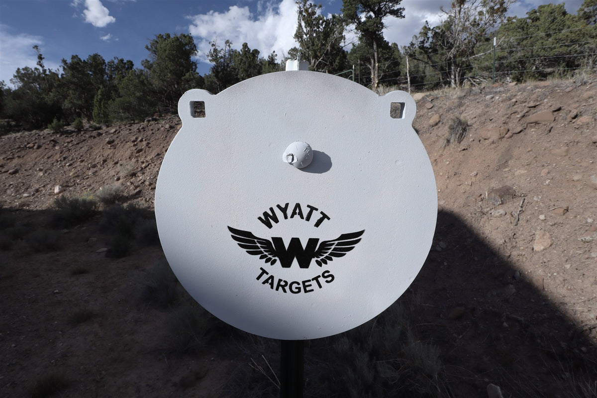 12-inch gong, 1/2-inch AR500 steel, white paint, three 9/16-inch square mounting holes, two ears, mounted on a T-post