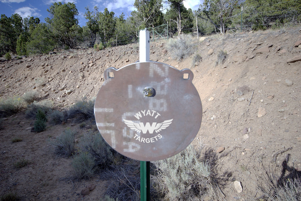 12-inch gong, 1/2-inch AR500 steel, surface rust, three 9/16-inch square mounting holes, two ears, mounted on a T-post