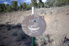 12-inch gong, 1/2-inch AR500 steel, surface rust, three 9/16-inch square mounting holes, two ears, mounted on a T-post