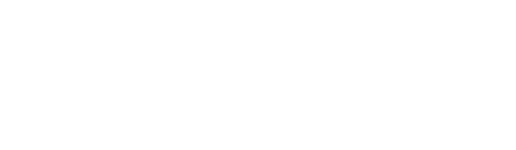Wyatt Targets
